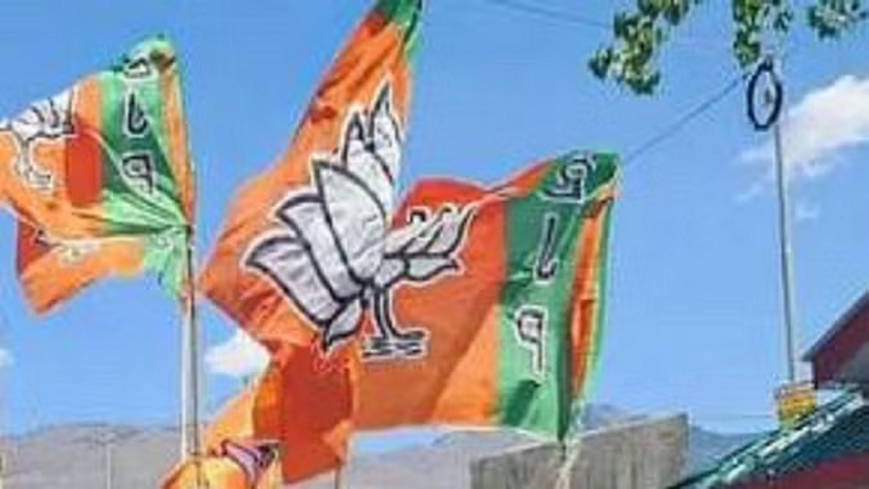 7113 करोड़ की नकदी के साथ भाजपा सबसे अमीर दल