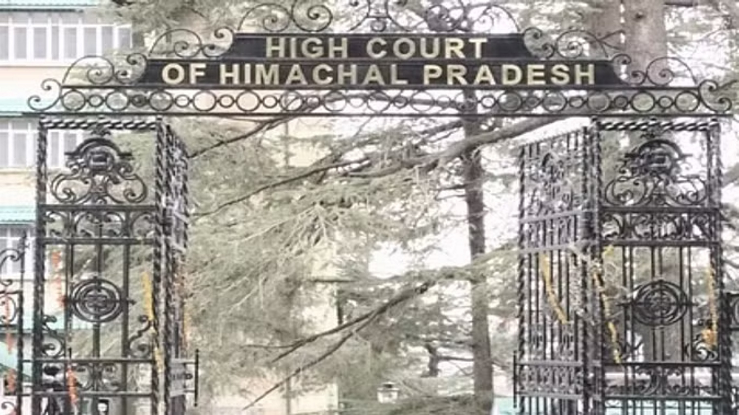 अतिक्रमण पर हाईकोर्ट सख्त, कहा-नियमों में संशोधन करे सरकार, उल्लंघन करने वालों पर हो कार्रवाई