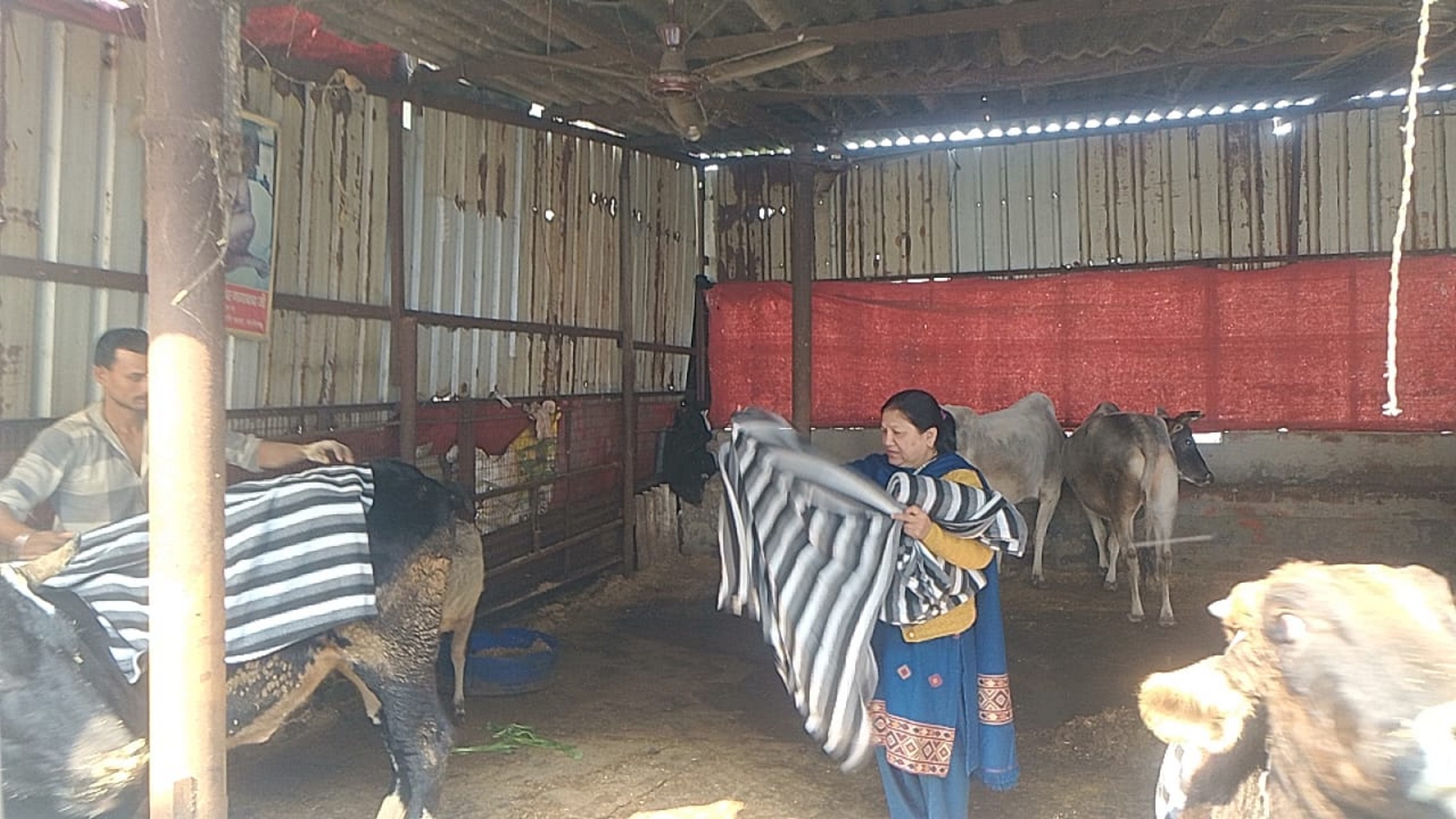 तुलसी संस्था  द्वारा कंबल वितरण 