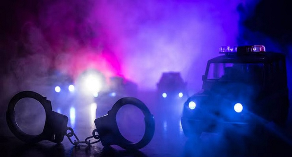 बड़े भाई की गोली मारकर हत्या