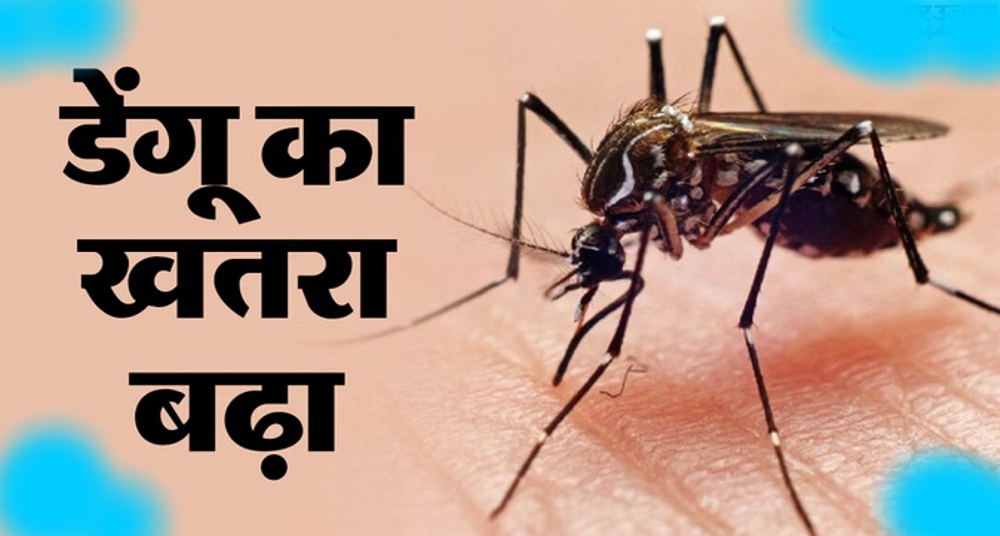 पूर्वी दिल्ली में बढ़ा मच्छरों का आतंक