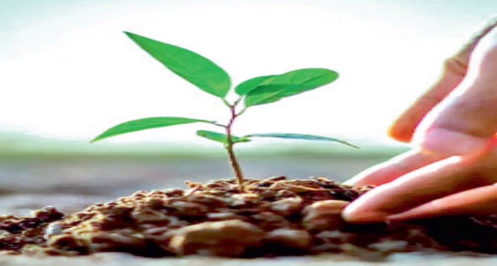 दिल्ली के स्कूलों में साढ़े तीन लाख पौधे लगाने का लक्ष्य