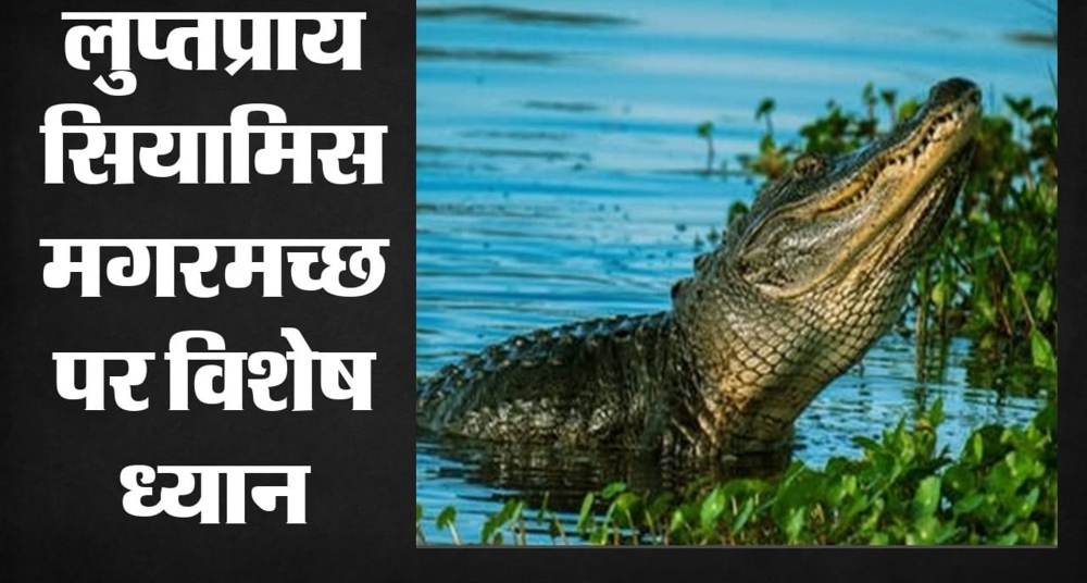 चिड़ियाघर में नई तकनीक का इस्तेमाल