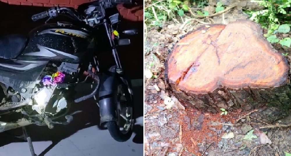 वन तस्करों को पकड़ने गई टीम को पिकअप से कुचलने का प्रयास